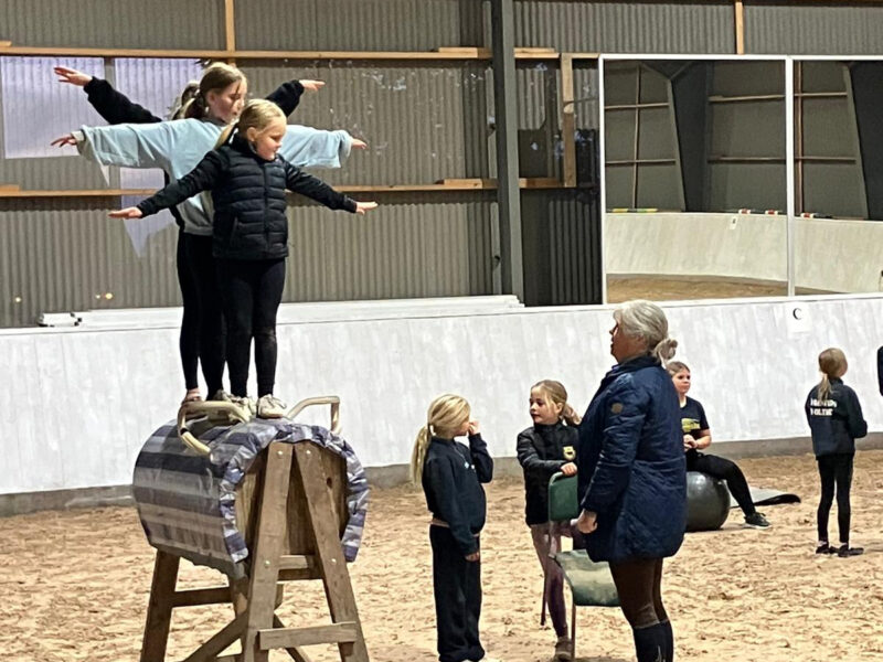 NU HAR VI BARNVOLTIGE PÅ FLYINGEHUS IGEN