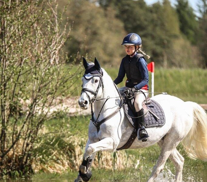 SUGAR CUP, ÅRETS REGIONFINALER – NU ÄR PLATSER OCH DATUM KLARA