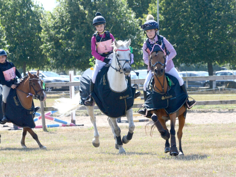 Bilder Sugar Cup Final 2025 – Tågarp 16 Augusti