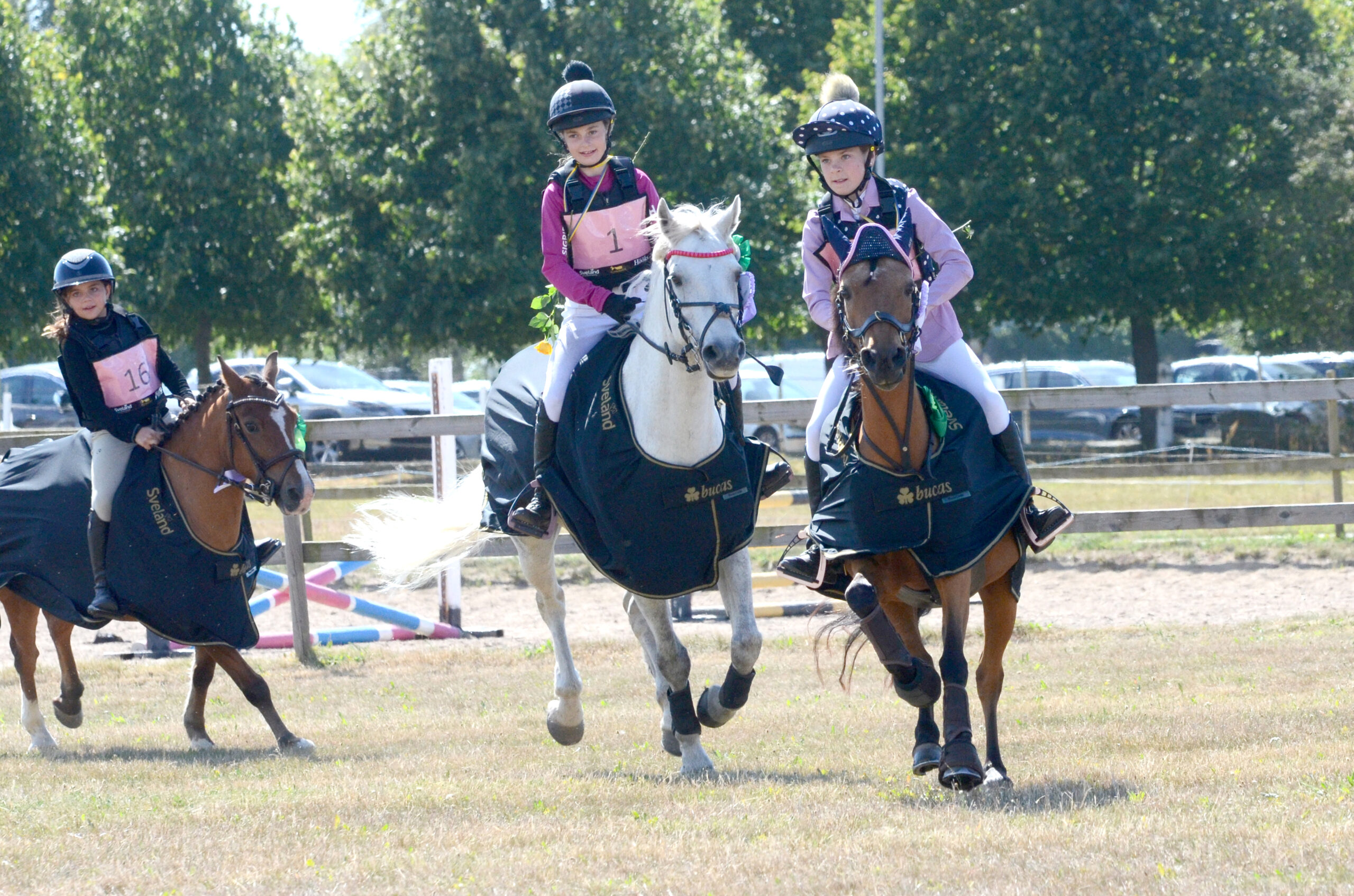 Bilder Sugar Cup Final 2025 – Tågarp 16 Augusti
