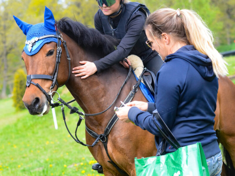 SUGAR CUP-SÄSONGEN HAR STARTAT